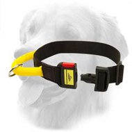 Nylon Collar with Strong Handle and Quick Release Buckle