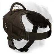 Pulling Training All Weather Nylon Harness