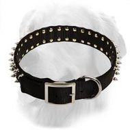 Unique Design Spiked Nylon Collar for Golden Retrievers