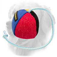 Golden Retriever French Linen Ball for Bite Training