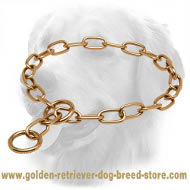 Curogan Golden Retriever Fur Saver