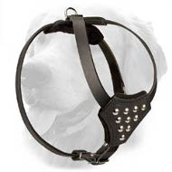 Small Designer Leather Golden Retriever Harness with Studs
