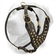 Studded Design Leather Golden Retriever Harness for Walking