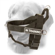 Multifunctional Nylon Golden Retriever Harness with ID Patches