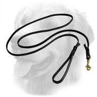 Golden Retriever Leather Leash Braided 10 mm