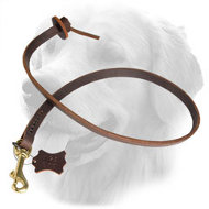 Professional Short Pull Tab Leather Golden Retriever Leash  Professional Short Pull Tab Leather Golden Retriever Leash