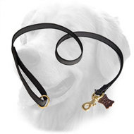 Professional I-Grip Nylon Golden Retriever Leash for Different Activities  Professional I-Grip Nylon Golden Retriever Leash for Different Activities