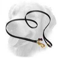 Multifunctional Nylon Golden Retriever Leash for Everyday Use