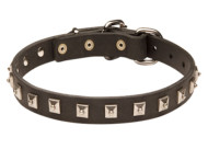 Golden Retriever Leather Collar Caterpillar Design