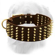 Golden Retriever Extra Wide Leather Collar with Brass Spikes