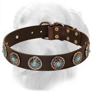 Golden RetrieverBlue Stones Decorated Leather Dog Collar
