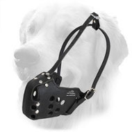 Leather Golden Retriever Muzzle for Police and Military Service
