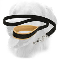 Golden Retriever Nylon Leash Padded Handle