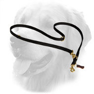 Golden Retriever Nylon Leash Multifunctional