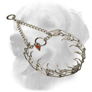 Stainless Steel Golden Retriever Pinch Prong Collar with Swivel and Quality Label