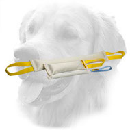 Fire Hose Golden Retriever Bite Training Set (3 Dog Items)