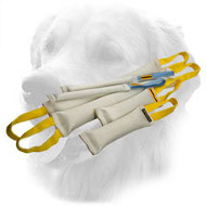 Fire Hose Golden Retriever Bite Training Set (6 Dog Supplies)