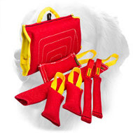 French Linen Golden Retriever Bite Training Set (7 Dog Items)