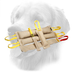 Eco-Friendly Jute Golden Retriever Bite Training Set (5 Items)