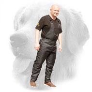 Nylon Protection Scratch Pants for Golden Retriever Training