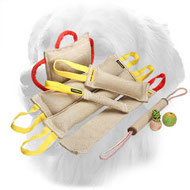 Jute Golden Retriever Bite Training Set (9 Dog Supplies)