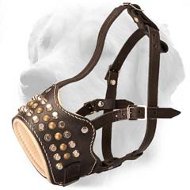 Studded Leather Muzzle