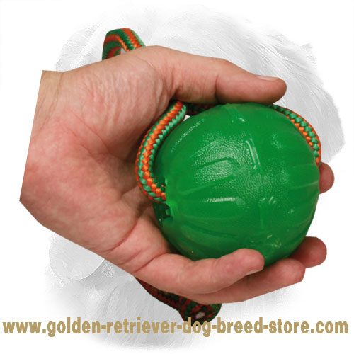 Golden Retriever Ball Meant for Dog Training