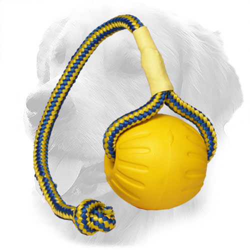 dog ball on string