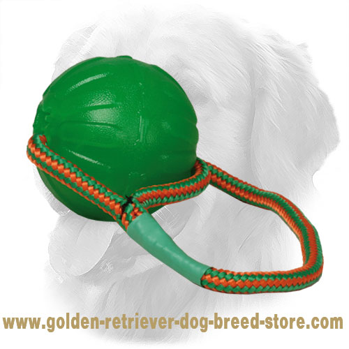 Golden Retriever Ball with Durable Rope