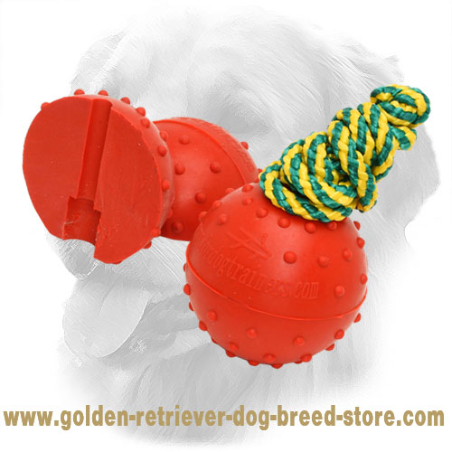 Rubber Golden Retriever Ball with Strong Nylon Rope