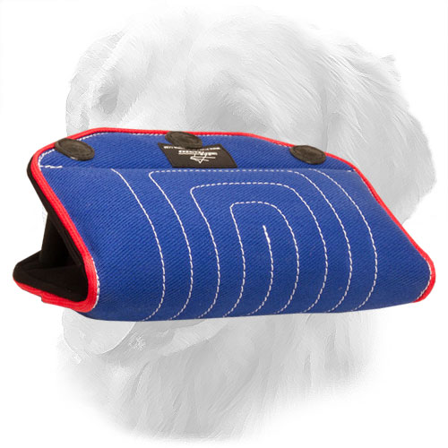 Golden Retriever Bite Builder for Dog Training