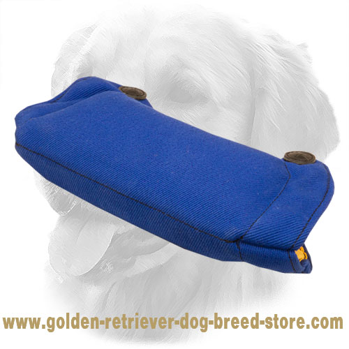 French Linen Golden Retriever Bite Builder for Basic Puppy Training