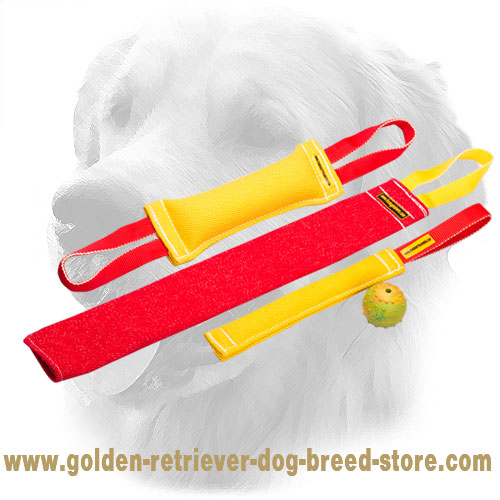 French Linen Golden Retriever Bite Training Set of 4 Tools