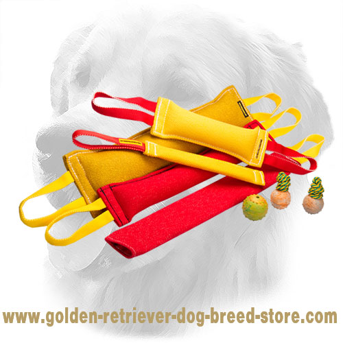 French Linen Golden Retriever Bite Training Set
