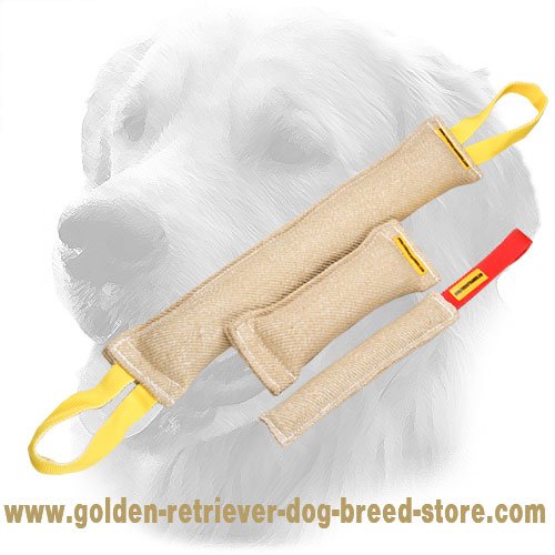 Jute Golden Retriever Bite Training Set of 3 Tools