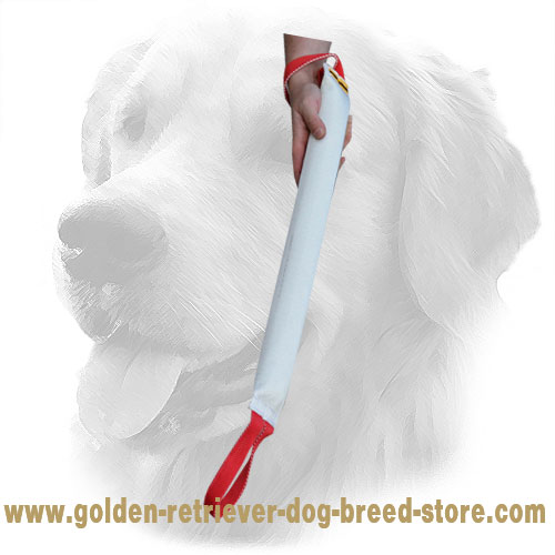 Strong Golden Retriever Bite Tug for Bite Work