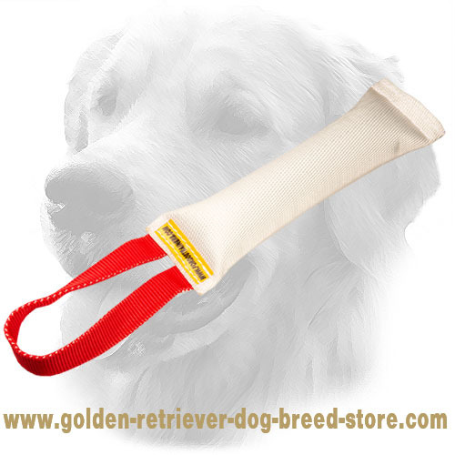 Fire Hose Golden Retriever Bite Tug with Comfy Handle