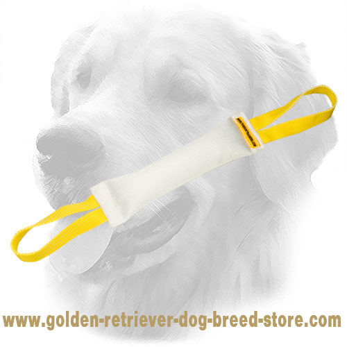 Fire Hose Golden Retriever Bite Tug with Comfy Handles