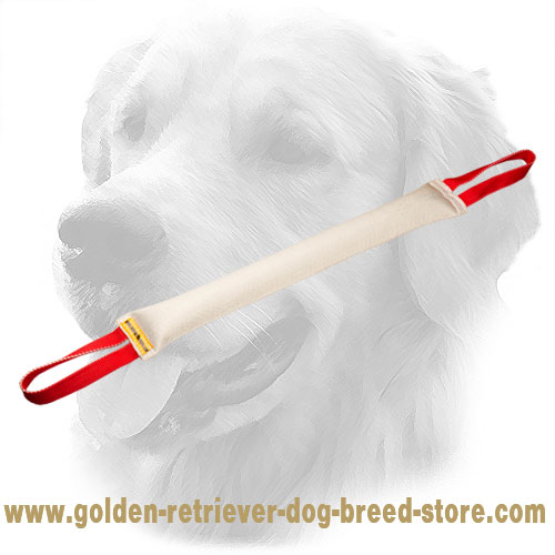 Fire Hose Golden Retriever Bite Tug with Comfortable Handles