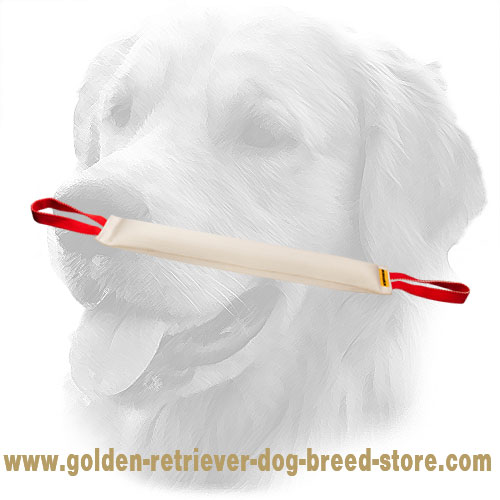 Fire Hose Golden Retriever Bite Tug with Nylon Handles