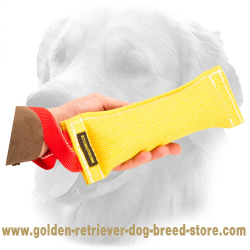 French Linen Golden Retriever Bite Tug for Retrieve Training