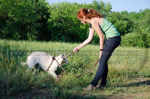 Extra Durable Golden Retriever Bite Tug for Training