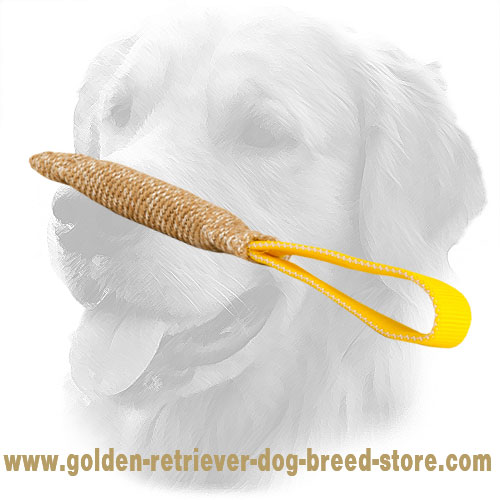Puppy Golden Retriever Bite Tug with One Handle