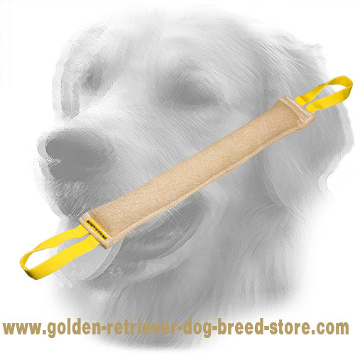 Jute Golden Retriever Bite Tug with Two Handles