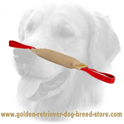 Jute Golden Retriever Bite Tug with Two Handles