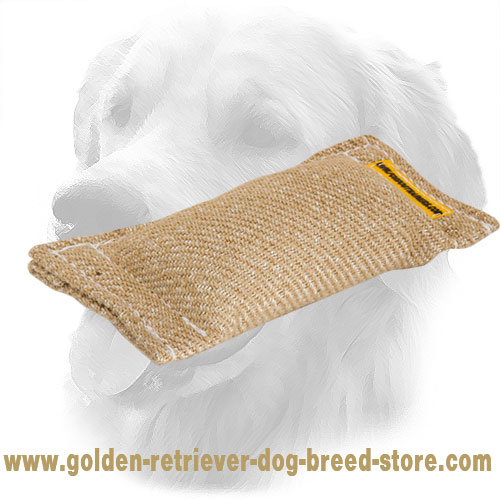 Jute Golden Retriever Bite Tug Without Handles