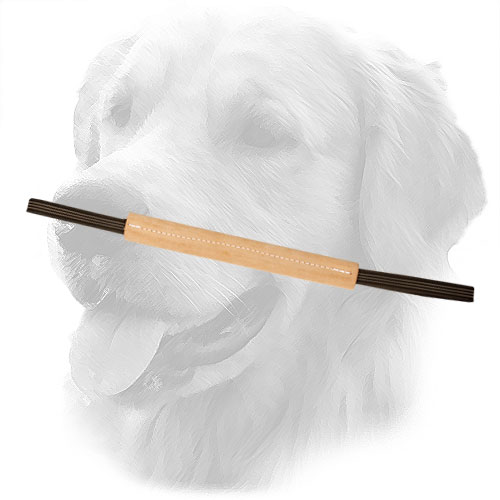 Hard Golden Retriever Bite Tug for Puppies