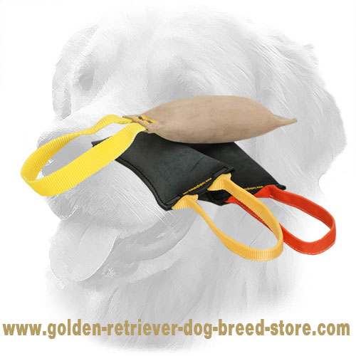  Golden Retriever Bite Tug with Comfortable Handle