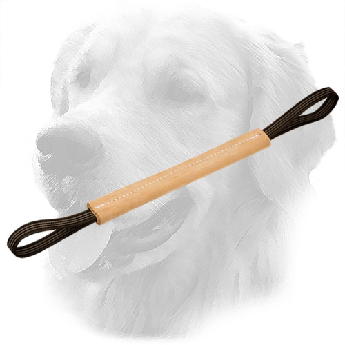 Golden Retriever Bite Tug with Nylon Handles