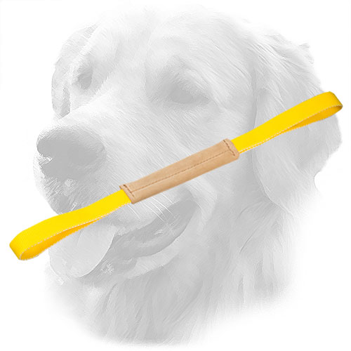 Golden Retriever Bite Tug for Puppies